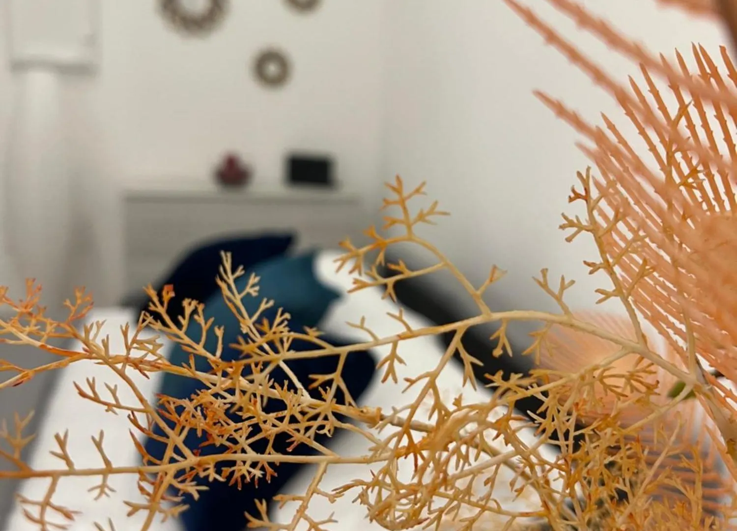Che Casa Apartment Naples Italy